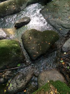 Coaching und Entspannungskurs